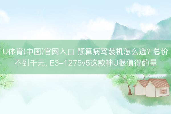 U体育(中国)官网入口 预算病笃装机怎么选? 总价不到千元， E3-1275v5这款神U很值得酌量