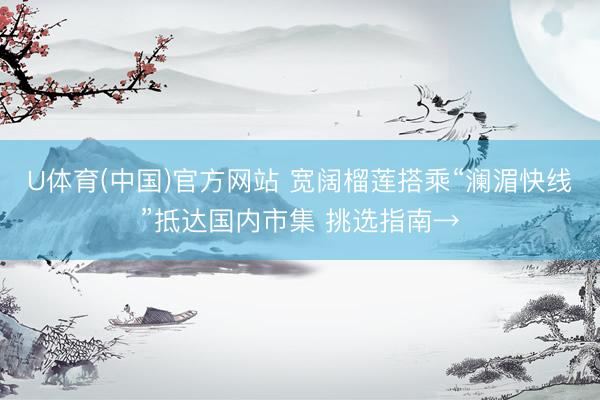 U体育(中国)官方网站 宽阔榴莲搭乘“澜湄快线”抵达国内市集 挑选指南→