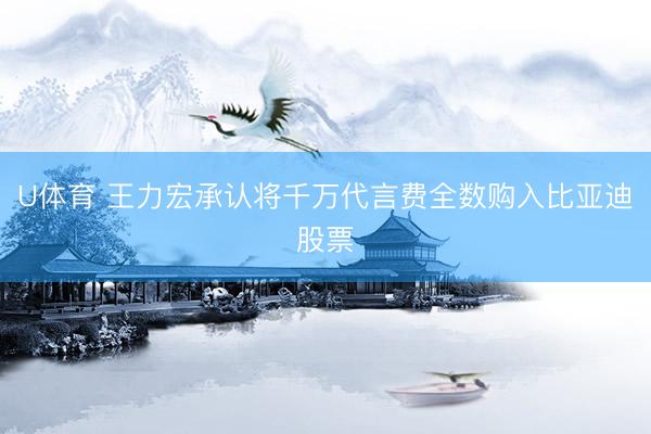 U体育 王力宏承认将千万代言费全数购入比亚迪股票