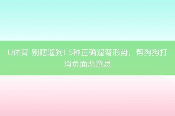 U体育 别瞎遛狗! 5种正确遛弯形势，帮狗狗打消负面恶意思