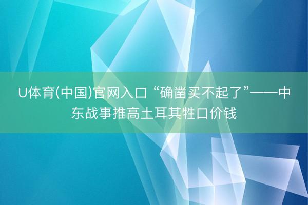 U体育(中国)官网入口 “确凿买不起了”——中东战事推高土耳其牲口价钱
