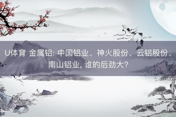 U体育 金属铝: 中国铝业、神火股份、云铝股份、南山铝业， 谁的后劲大?