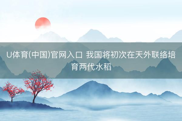 U体育(中国)官网入口 我国将初次在天外联络培育两代水稻