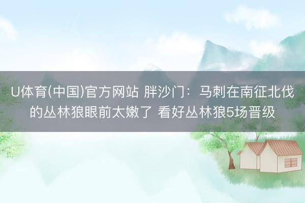 U体育(中国)官方网站 胖沙门：马刺在南征北伐的丛林狼眼前太嫩了 看好丛林狼5场晋级