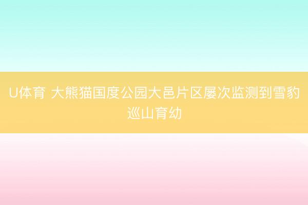 U体育 大熊猫国度公园大邑片区屡次监测到雪豹巡山育幼