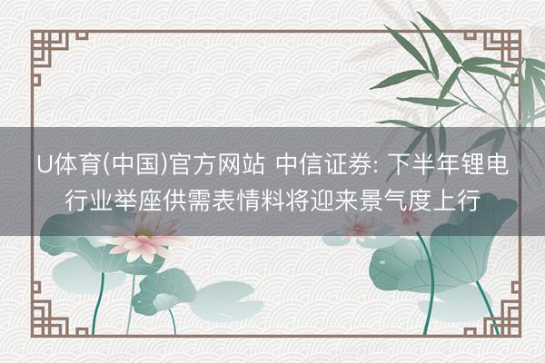 U体育(中国)官方网站 中信证券: 下半年锂电行业举座供需表情料将迎来景气度上行