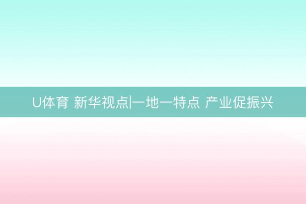U体育 新华视点|一地一特点 产业促振兴
