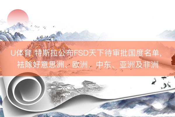 U体育 特斯拉公布FSD天下待审批国度名单， 袪除好意思洲、欧洲、中东、亚洲及非洲