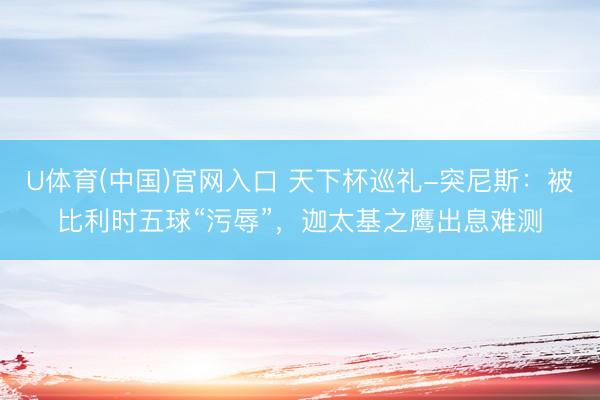 U体育(中国)官网入口 天下杯巡礼-突尼斯：被比利时五球“污辱”，迦太基之鹰出息难测