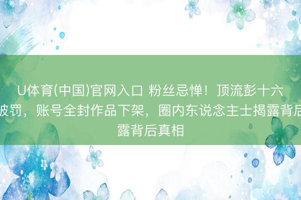 U体育(中国)官网入口 粉丝忌惮！顶流彭十六偷税被罚，账号全封作品下架，圈内东说念主士揭露背后真相