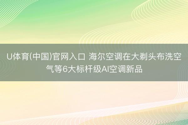 U体育(中国)官网入口 海尔空调在大剃头布洗空气等6大标杆级AI空调新品