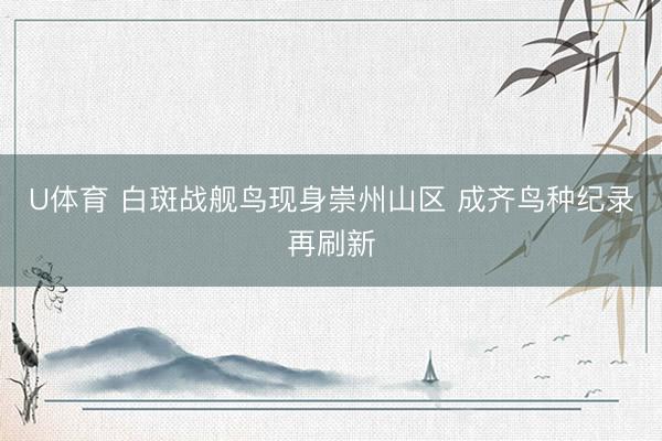 U体育 白斑战舰鸟现身崇州山区 成齐鸟种纪录再刷新