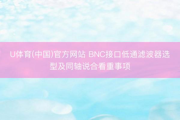 U体育(中国)官方网站 BNC接口低通滤波器选型及同轴说合看重事项