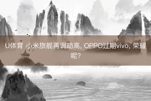U体育 小米旗舰再调动高, OPPO过期vivo, 荣耀呢?