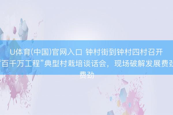 U体育(中国)官网入口 钟村街到钟村四村召开“百千万工程”典型村栽培谈话会，现场破解发展费劲