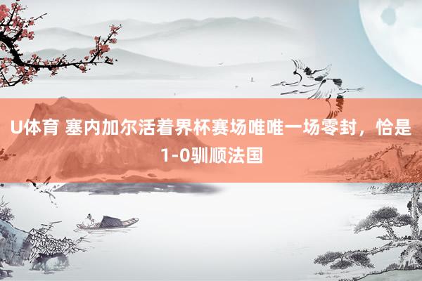 U体育 塞内加尔活着界杯赛场唯唯一场零封，恰是1-0驯顺法国
