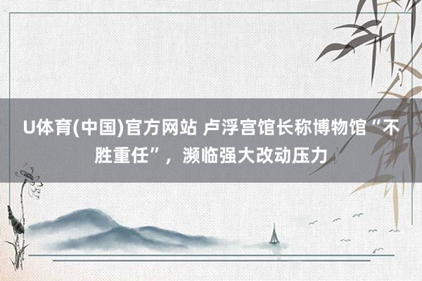 U体育(中国)官方网站 卢浮宫馆长称博物馆“不胜重任”，濒临强大改动压力